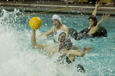 waterpolo5.jpg
