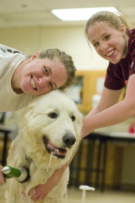 VMRCVM Dog Warsh (Spring '08)