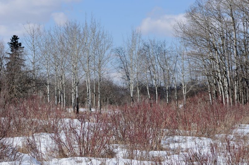 DSC_2869.jpg