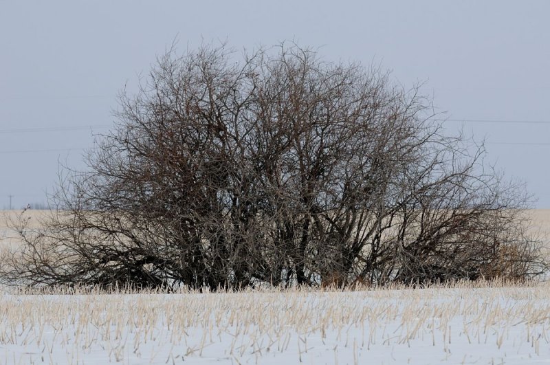DSC_3007.jpg