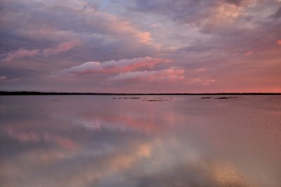 DSC_7372.jpg