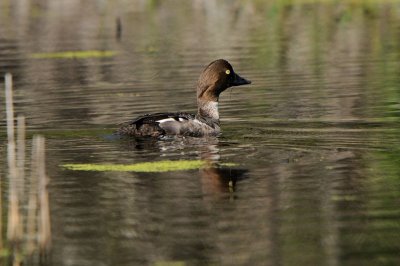 DSC_5047.jpg