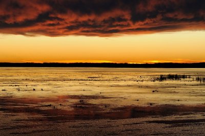DSC_8817.jpg