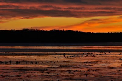 DSC_8830.jpg