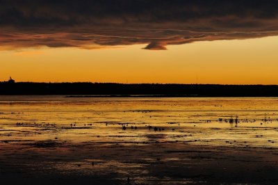 DSC_8834.jpg