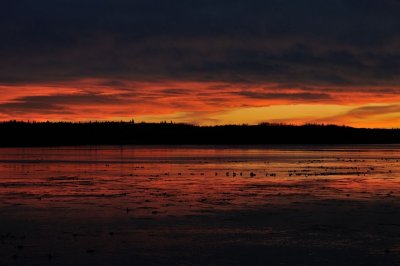 DSC_8838.jpg