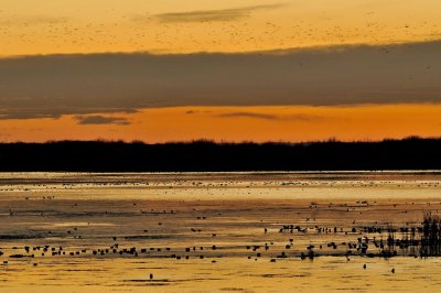 DSC_9169.jpg