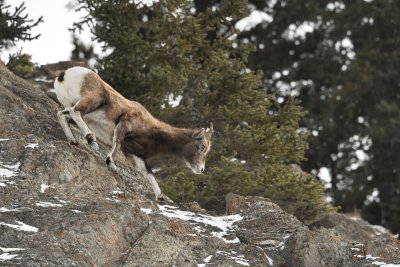 DSC_9961.jpg