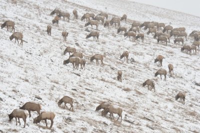 DSC_0143.jpg