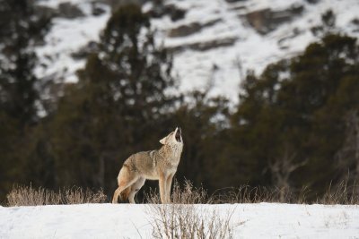 DSC_0324.jpg