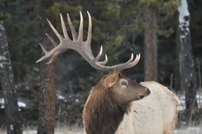 DSC_0503.jpg