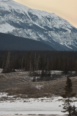 DSC_1651.jpg