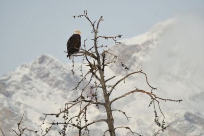 DSC_1685.jpg