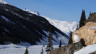 DSC_7655.jpg