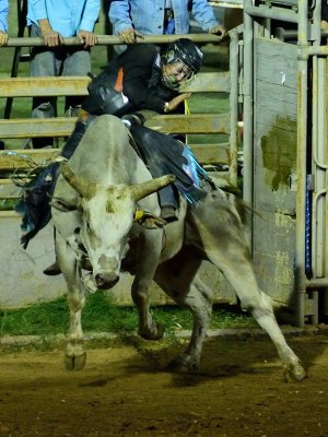 Mariposa County Fair Rodeo - Bull Rider