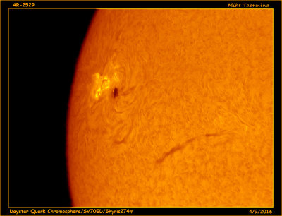 Solar H-alpha Images