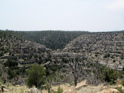 IMG_0500.JPG