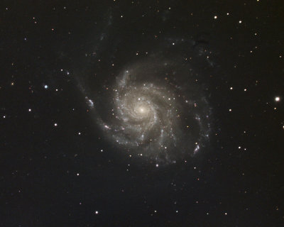 M101 - The Pinwheel Galaxy in Ursa Major 09-10-May-2015