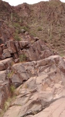 More petroglyphs