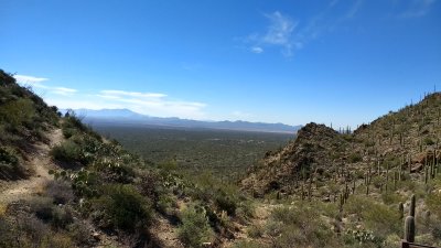 Saguaro National Park - January 2017