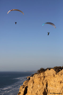 Paragliders at Torry Pines