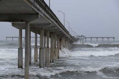 Ocean Beach Pier