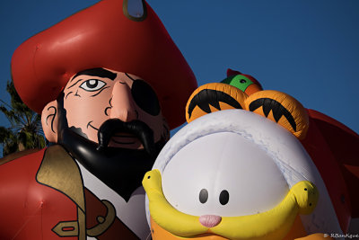 Pirate and Garfield