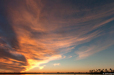 DSC_3620.jpg