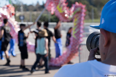 2015 Lunar New Year TET Festival
