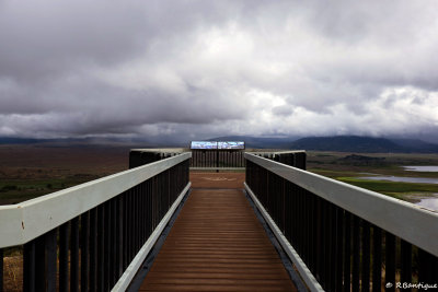 DSCF4729.jpg