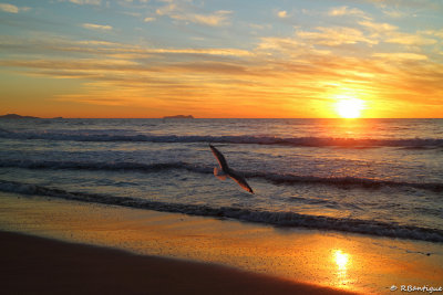 into the sunset