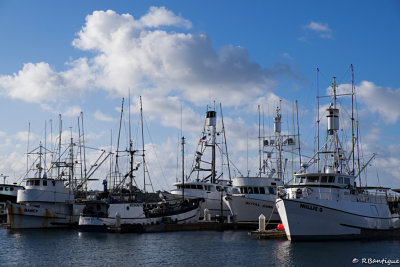 DSCF7062.jpg
