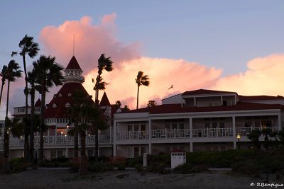 DSCF7595.jpg