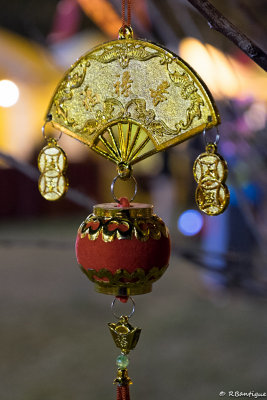 DSCF7896.jpg