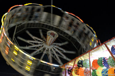 DSCF7871.jpg