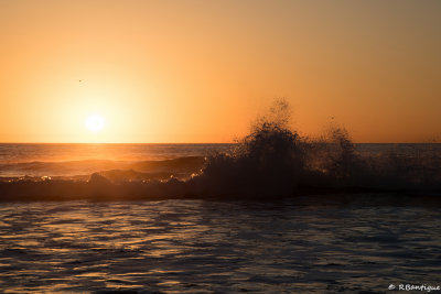 Sunset Splash