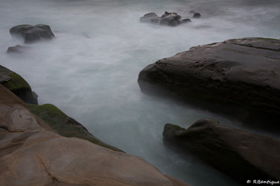 DSC_1937.jpg