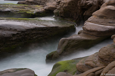 DSC_1935.jpg