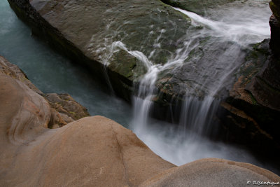 DSC_1932.jpg
