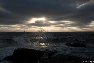 DSC_1897.jpg