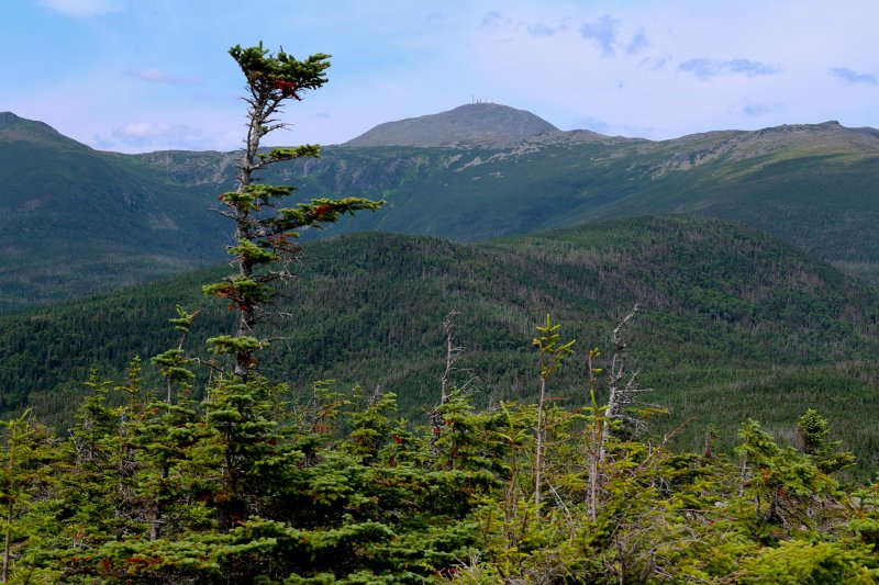Mt. Monroe, Mt. Washington and Boott Spur