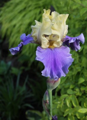 IMG_0924.jpg