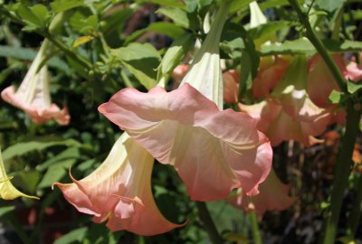 IMG_3069.jpg