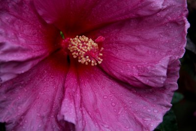 IMG_3597.jpg
