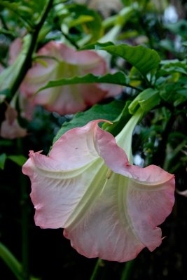IMG_3633.jpg