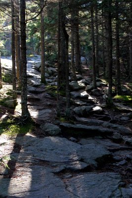 IMG_4539.jpg