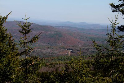 IMG_4560.jpg