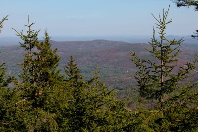 IMG_4569.jpg