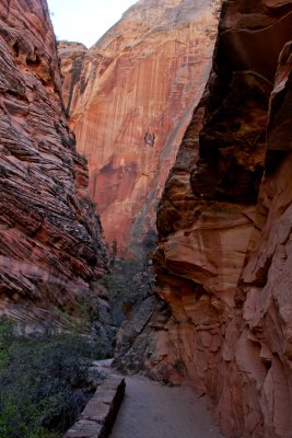 Zion 
