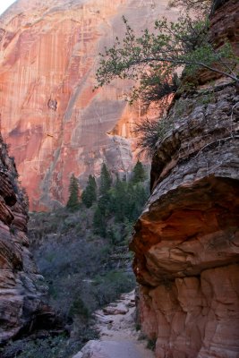 Canyon Walls